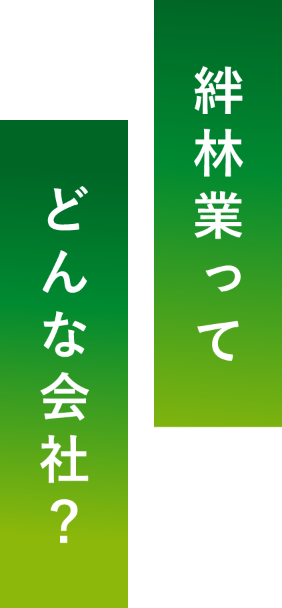 私たちについて