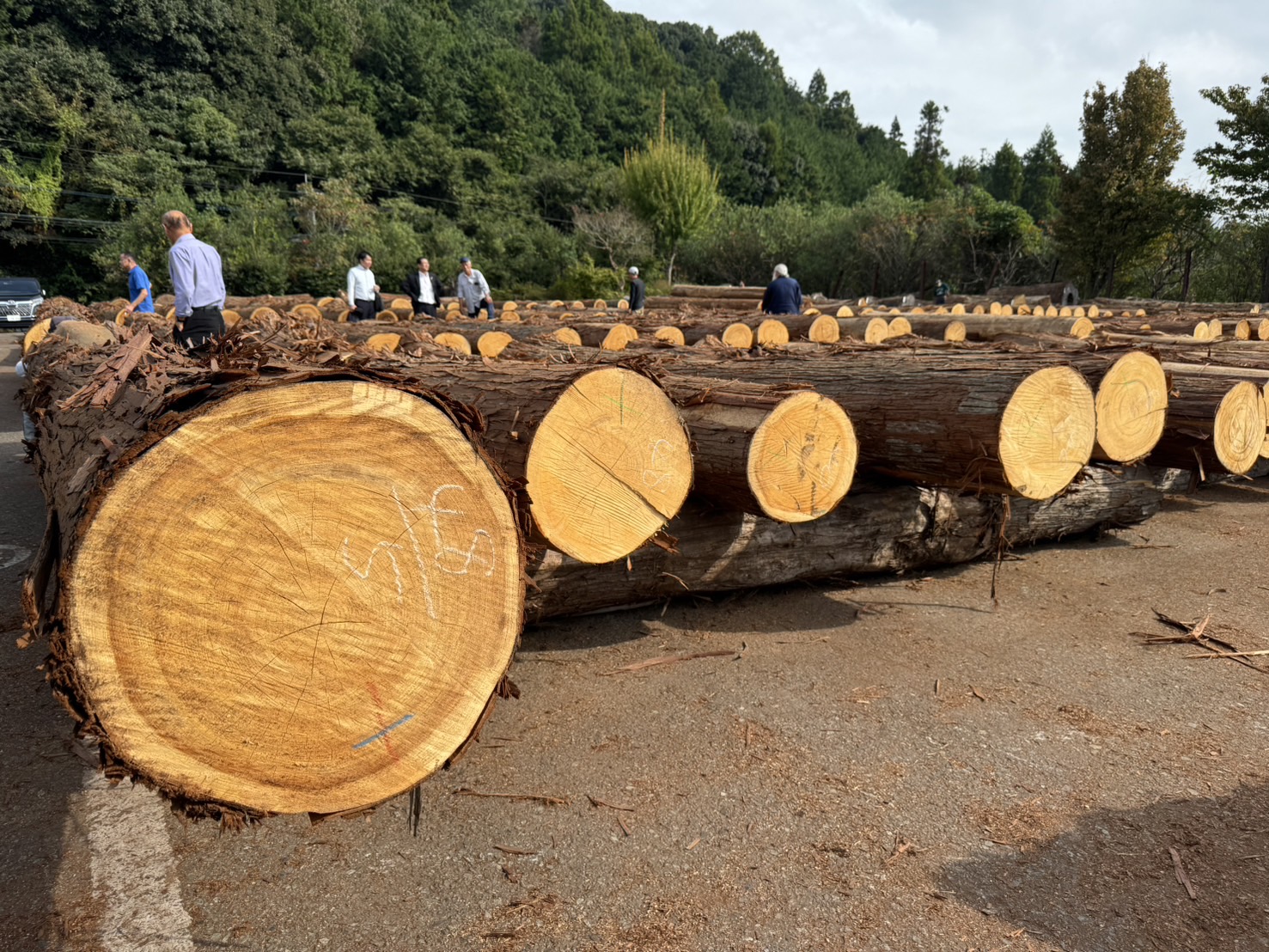 山林･立木の売買