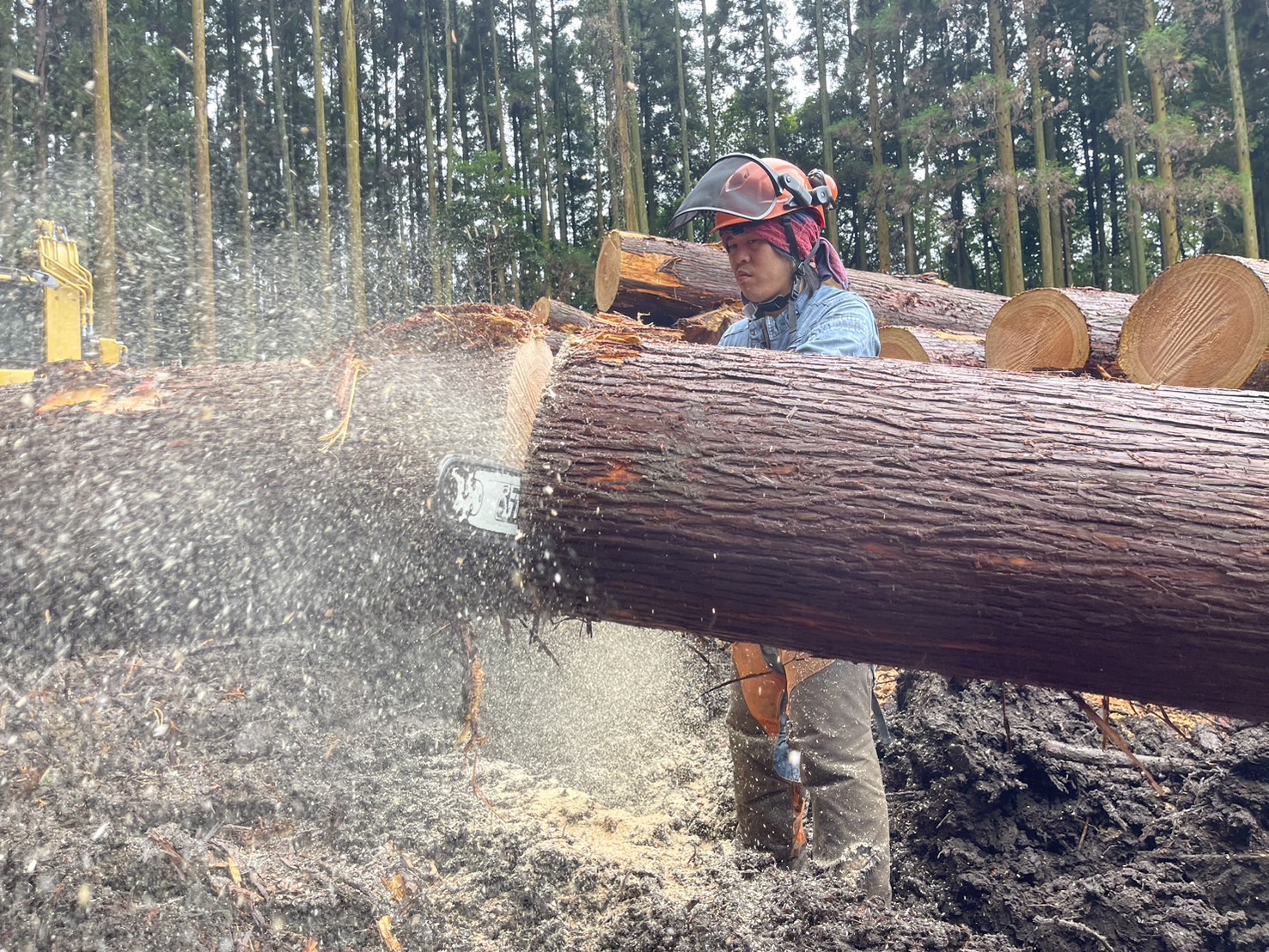 一緒に働く仲間を募集しています